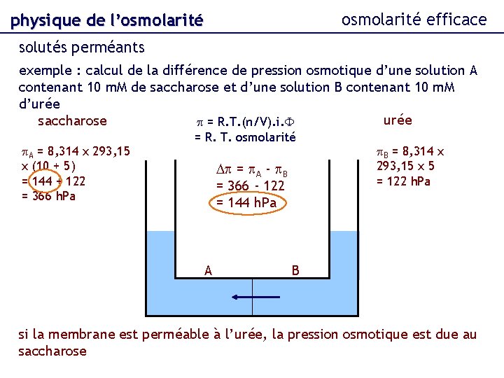 osmolarité efficace physique de l’osmolarité solutés perméants exemple : calcul de la différence de