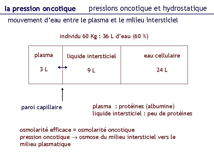 la pression oncotique pressions oncotique et hydrostatique mouvement d’eau entre le plasma et le