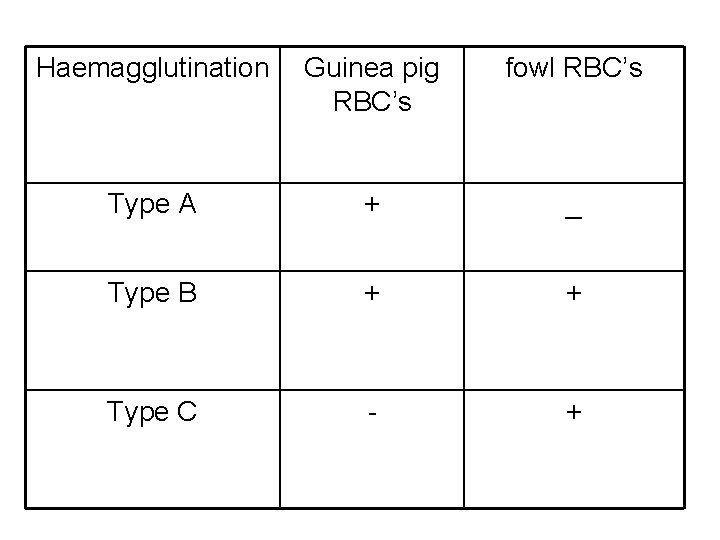 Haemagglutination Guinea pig RBC’s fowl RBC’s Type A + _ Type B + +