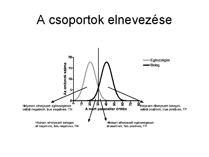 A csoportok elnevezése 