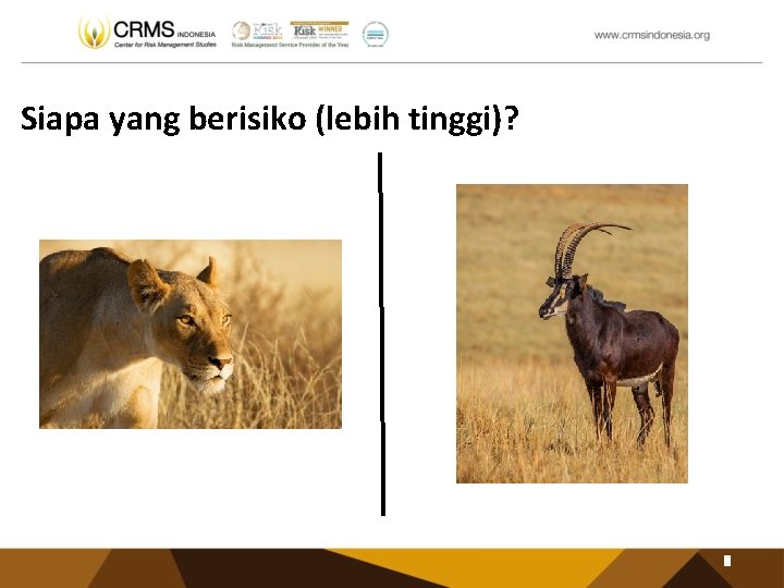 Siapa yang berisiko (lebih tinggi)? 5 