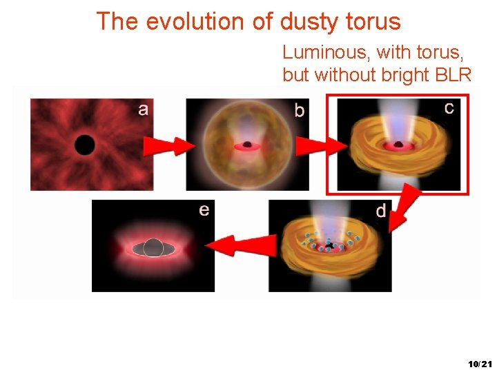 The evolution of dusty torus Luminous, with torus, but without bright BLR 10/21 