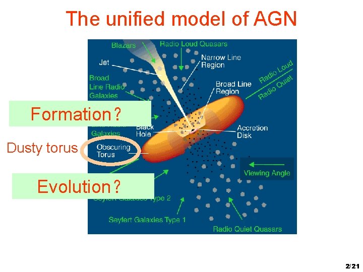 The unified model of AGN Formation？ Dusty torus Evolution？ 2/21 