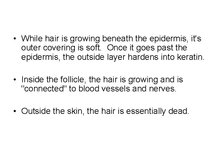  • While hair is growing beneath the epidermis, it's outer covering is soft.