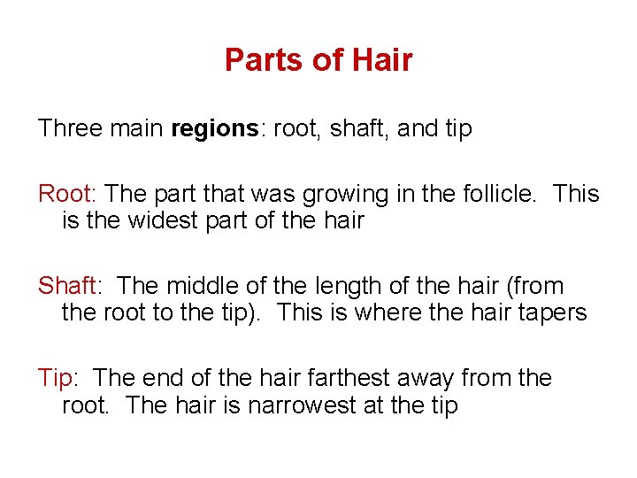 Parts of Hair Three main regions: root, shaft, and tip Root: The part that