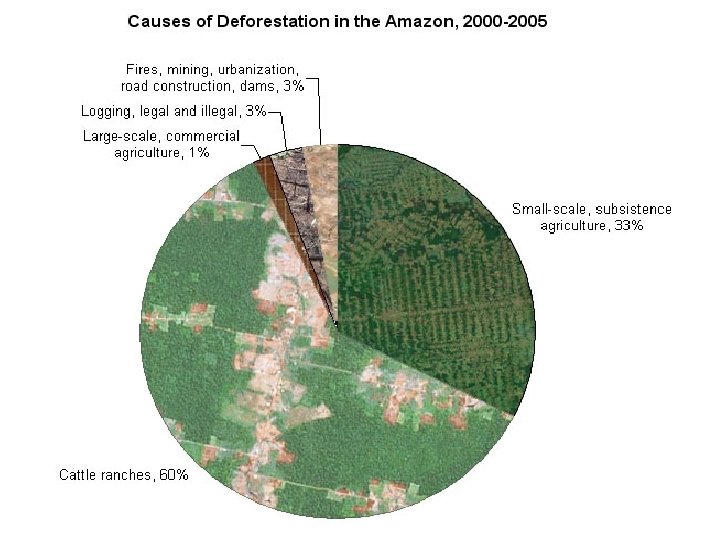  The above pie chart showing deforestation in the Amazon by cause is based