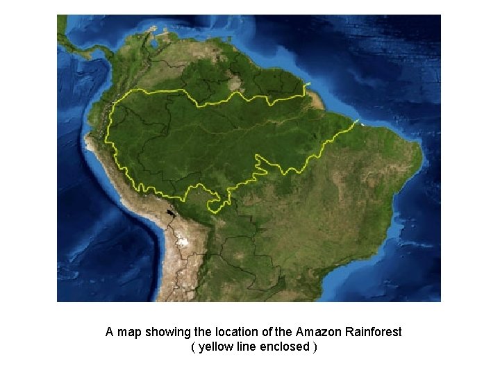 A map showing the location of the Amazon Rainforest ( yellow line enclosed ) A map showing the location of the Amazon Rainforest ( yellow line enclosed )