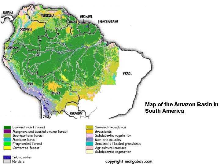 Map of the Amazon Basin in South America 