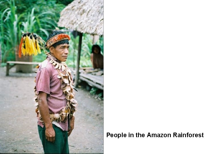 People in the Amazon Rainforest 