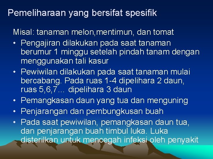 Pemeliharaan yang bersifat spesifik Misal: tanaman melon, mentimun, dan tomat • Pengajiran dilakukan pada