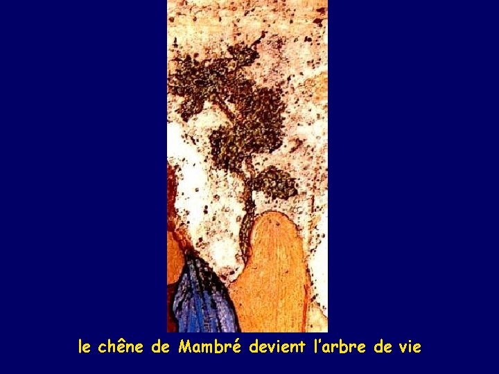 le chêne de Mambré devient l’arbre de vie 