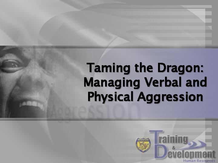 Taming the Dragon: Managing Verbal and Physical Aggression 
