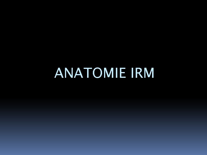 ANATOMIE IRM 