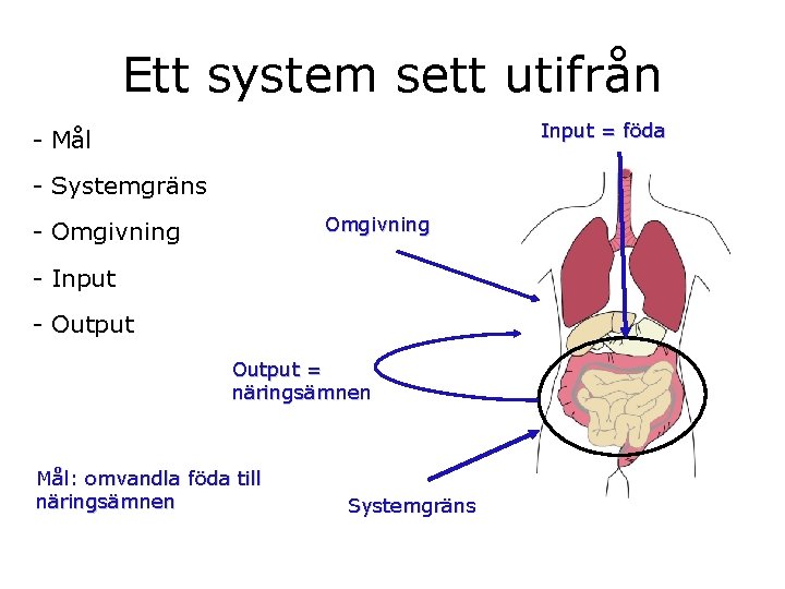 Ett system sett utifrån Input = föda - Mål - Systemgräns Omgivning - Input