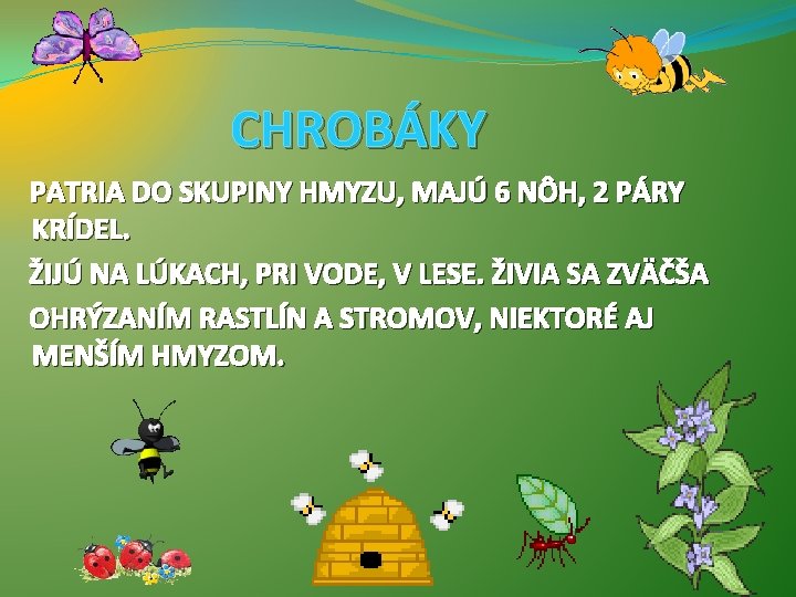 CHROBÁKY PATRIA DO SKUPINY HMYZU, MAJÚ 6 NÔH, 2 PÁRY KRÍDEL. ŽIJÚ NA LÚKACH,