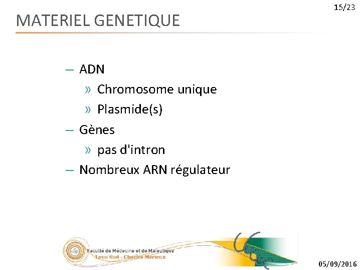 MATERIEL GENETIQUE 15/23 – ADN » Chromosome unique » Plasmide(s) – Gènes » pas