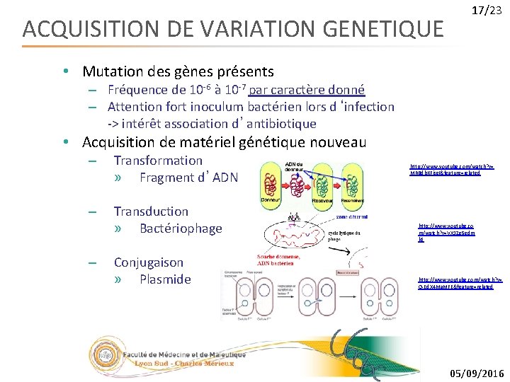 ACQUISITION DE VARIATION GENETIQUE 17/23 • Mutation des gènes présents – Fréquence de 10