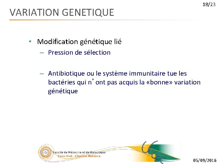 18/23 VARIATION GENETIQUE • Modification génétique lié – Pression de sélection – Antibiotique ou