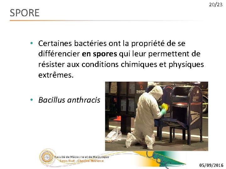 20/23 SPORE • Certaines bactéries ont la propriété de se différencier en spores qui