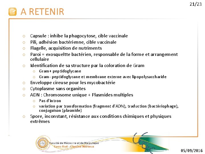 A RETENIR 21/23 Capsule : inhibe la phagocytose, cible vaccinale Pili, adhésion bactérienne, cible