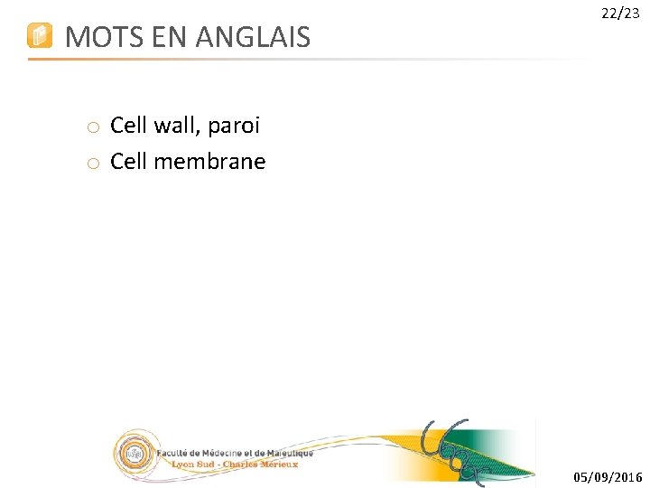 MOTS EN ANGLAIS 22/23 o Cell wall, paroi o Cell membrane 05/09/2016 