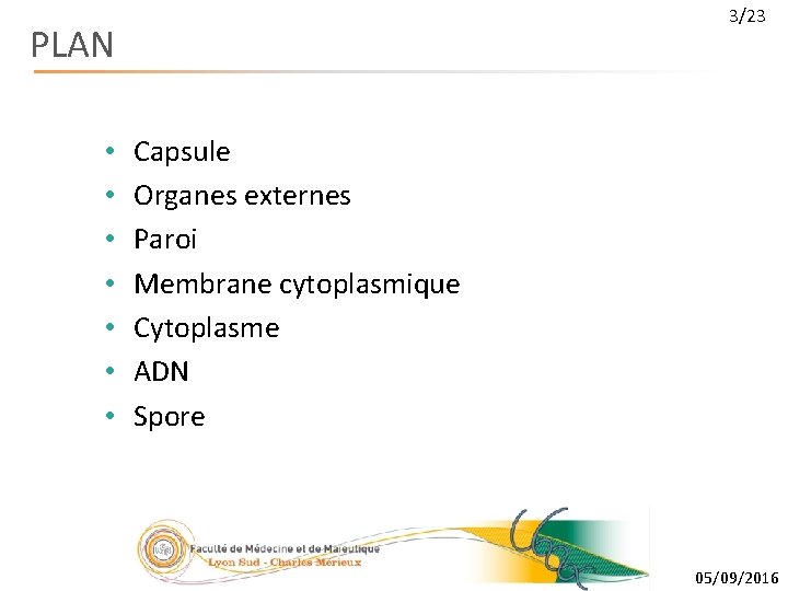 3/23 PLAN • • Capsule Organes externes Paroi Membrane cytoplasmique Cytoplasme ADN Spore 05/09/2016