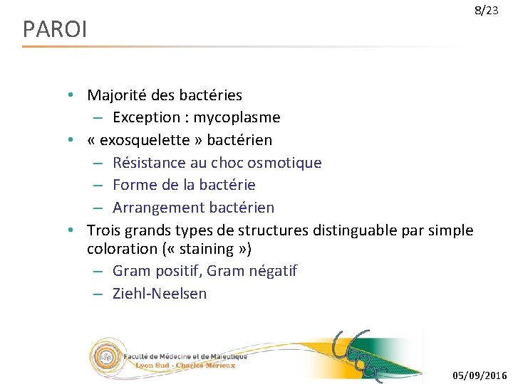 PAROI 8/23 • Majorité des bactéries – Exception : mycoplasme • « exosquelette »