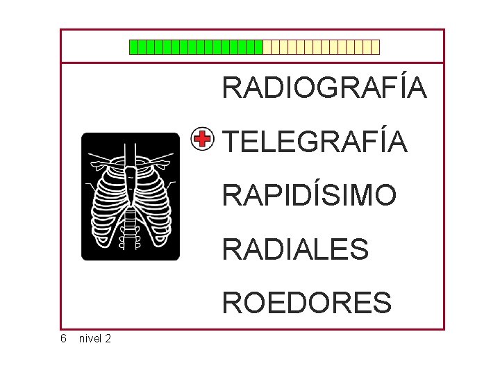 RADIOGRAFÍA TELEGRAFÍA RAPIDÍSIMO RADIALES ROEDORES 6 nivel 2 