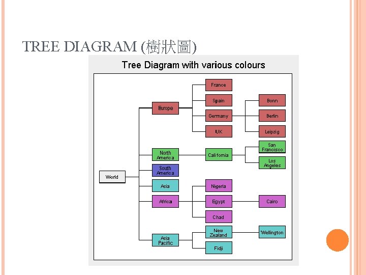 TREE DIAGRAM (樹狀圖) 