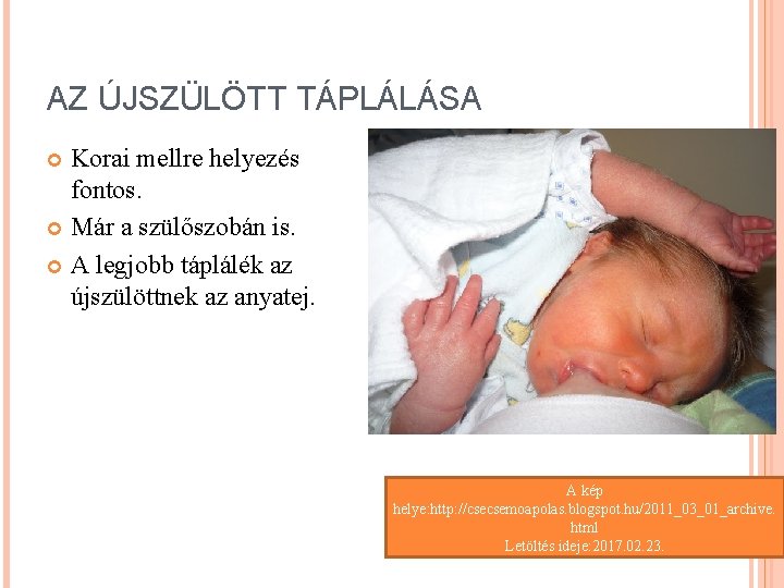 AZ ÚJSZÜLÖTT TÁPLÁLÁSA Korai mellre helyezés fontos. Már a szülőszobán is. A legjobb táplálék AZ ÚJSZÜLÖTT TÁPLÁLÁSA Korai mellre helyezés fontos. Már a szülőszobán is. A legjobb táplálék