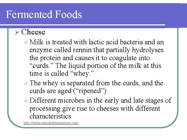 Fermented Foods Ø Cheese v Milk is treated with lactic acid bacteria and an