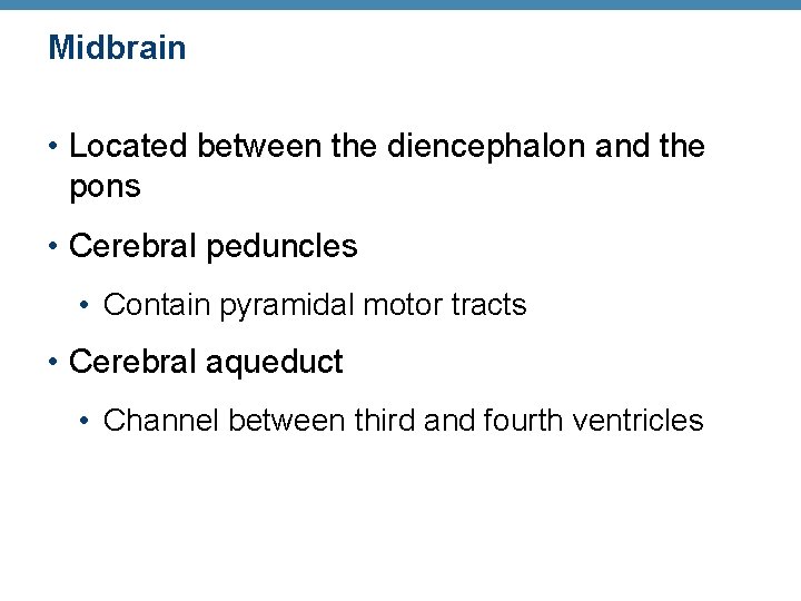 Midbrain • Located between the diencephalon and the pons • Cerebral peduncles • Contain