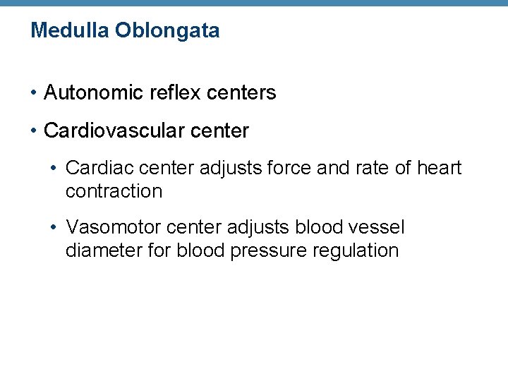 Medulla Oblongata • Autonomic reflex centers • Cardiovascular center • Cardiac center adjusts force