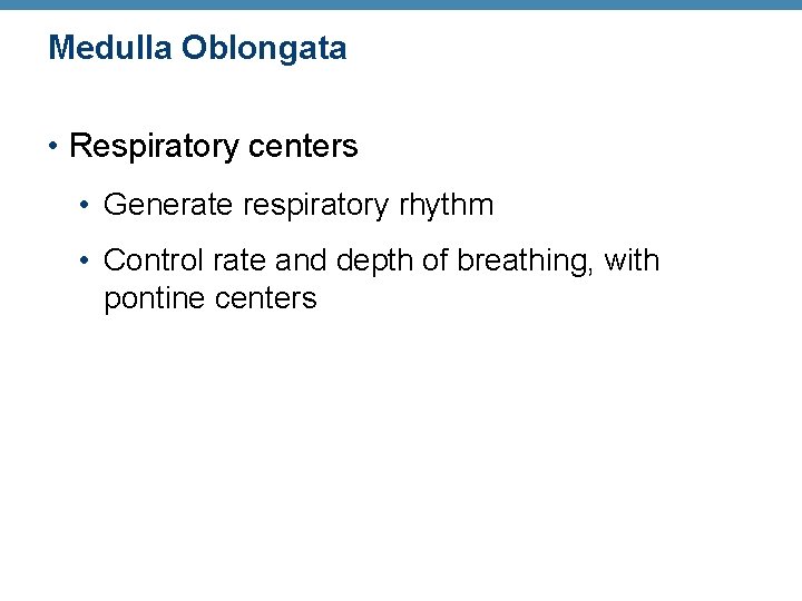 Medulla Oblongata • Respiratory centers • Generate respiratory rhythm • Control rate and depth