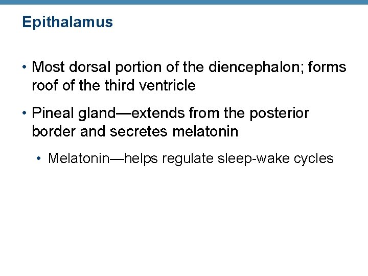 Epithalamus • Most dorsal portion of the diencephalon; forms roof of the third ventricle