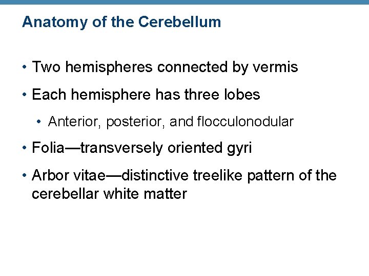 Anatomy of the Cerebellum • Two hemispheres connected by vermis • Each hemisphere has