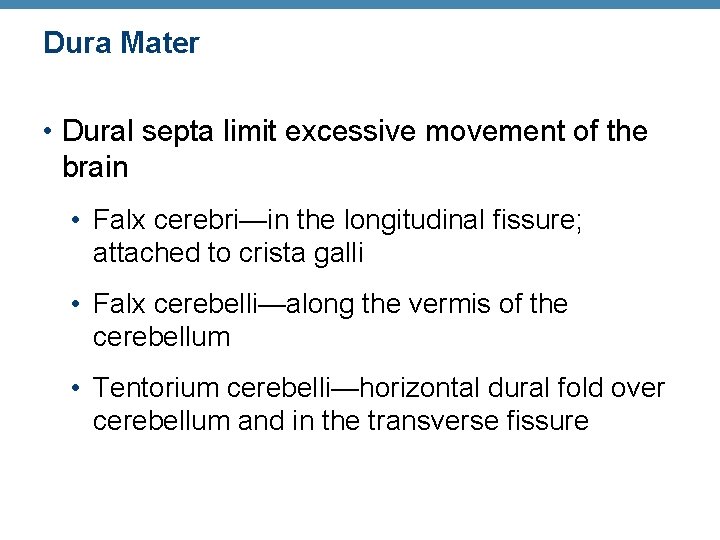 Dura Mater • Dural septa limit excessive movement of the brain • Falx cerebri—in