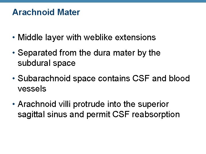 Arachnoid Mater • Middle layer with weblike extensions • Separated from the dura mater
