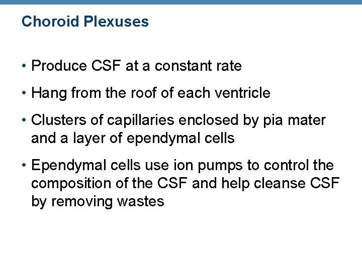 Choroid Plexuses • Produce CSF at a constant rate • Hang from the roof