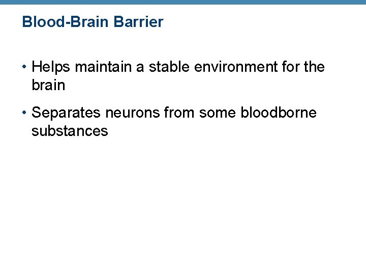 Blood-Brain Barrier • Helps maintain a stable environment for the brain • Separates neurons