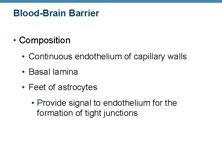 Blood-Brain Barrier • Composition • Continuous endothelium of capillary walls • Basal lamina •