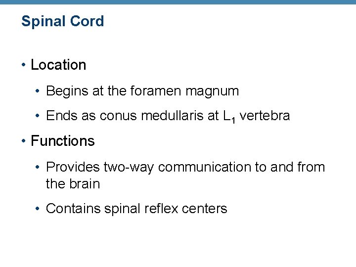 Spinal Cord • Location • Begins at the foramen magnum • Ends as conus