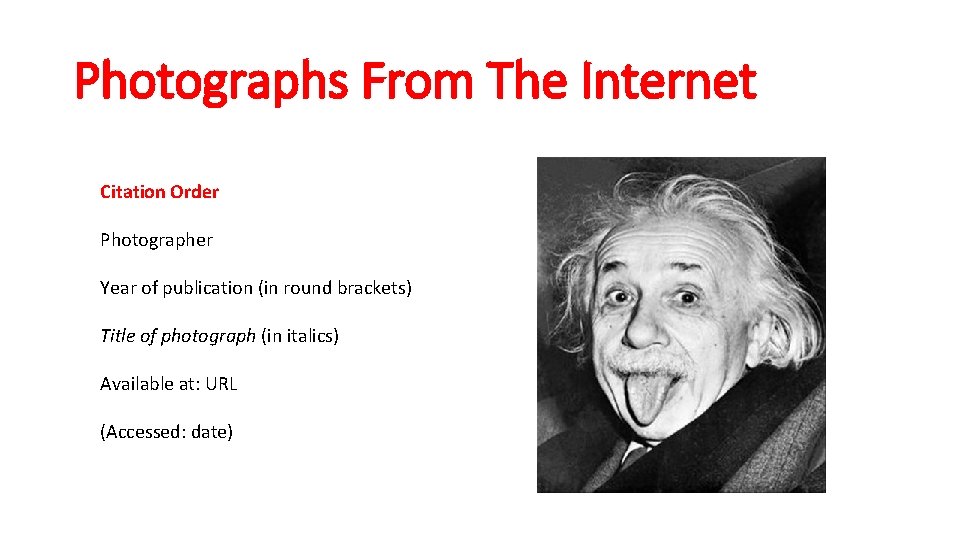 Photographs From The Internet Citation Order Photographer Year of publication (in round brackets) Title