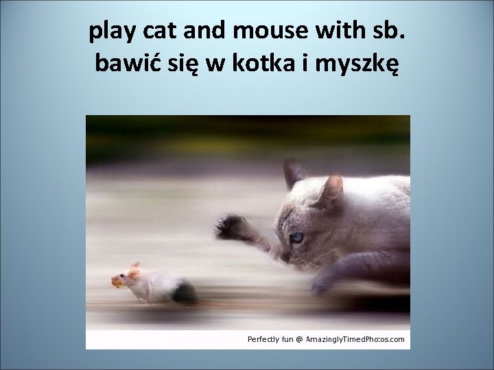 play cat and mouse with sb. bawić się w kotka i myszkę 