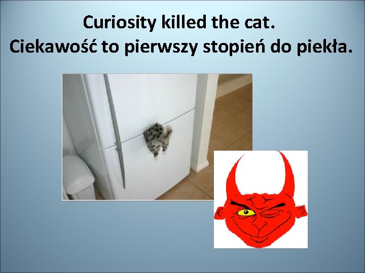 Curiosity killed the cat. Ciekawość to pierwszy stopień do piekła. 