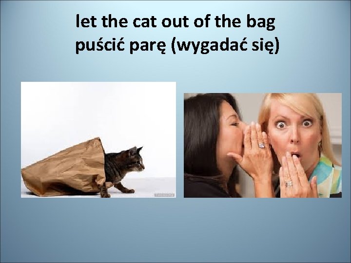 let the cat out of the bag puścić parę (wygadać się) 