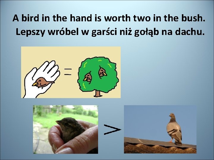 A bird in the hand is worth two in the bush. Lepszy wróbel w