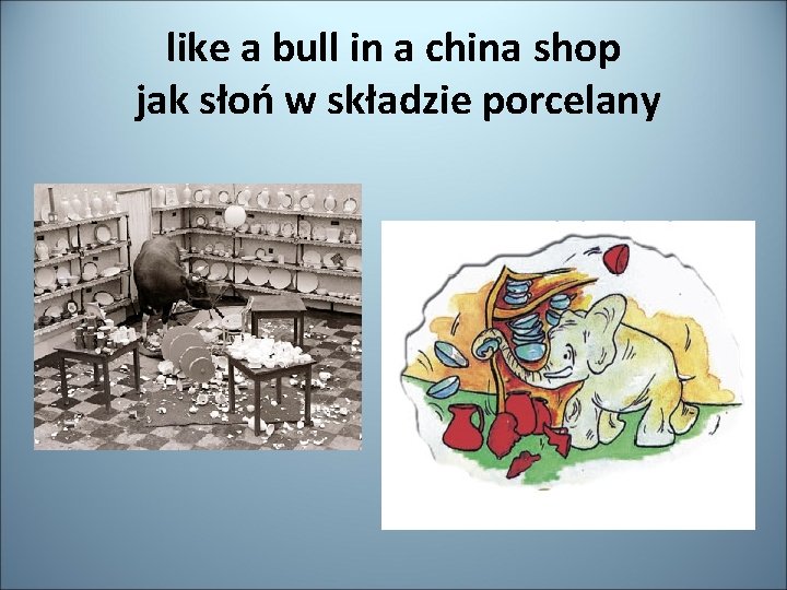 like a bull in a china shop jak słoń w składzie porcelany 