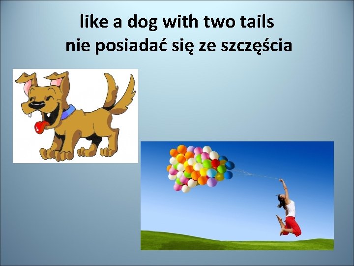 like a dog with two tails nie posiadać się ze szczęścia 