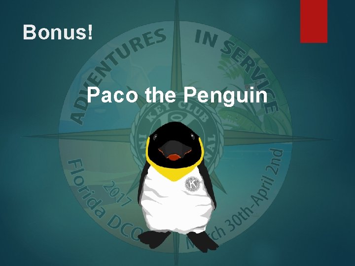 Bonus! Paco the Penguin 